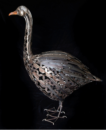 The Swoose Bird 