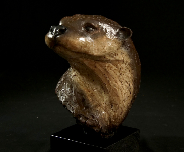 Hindsight 