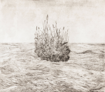 Turf after Durer