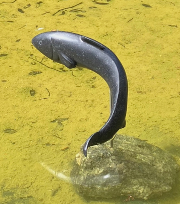 Leaping Fish 