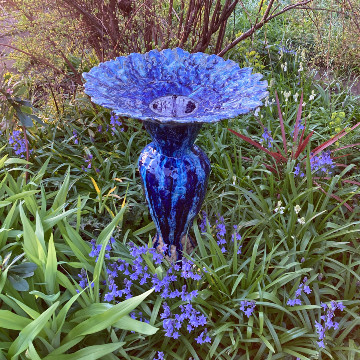 Bird Bath 