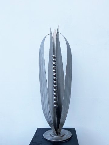 Seeds
