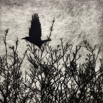 Winter Rook