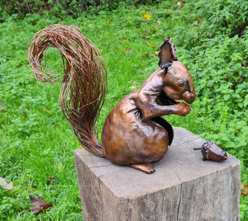 Squirrel and Acorn