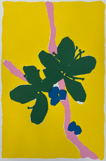 Blossom No 34