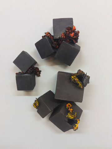 Coral Cubes