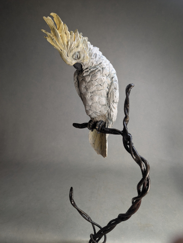 Cockatoo