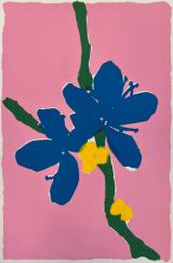 Blossom No 35