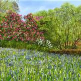 Quietude