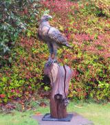 Golden Eagle