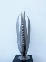 Seeds