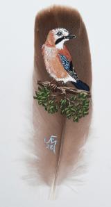 Chattering Jay 