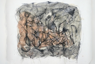 Delamore Arts Prize Winner 2017 - Meryl Hopper