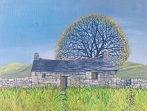 Spring on the Moor. At Last!