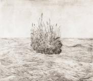 Turf after Durer