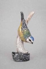 Blue Tit