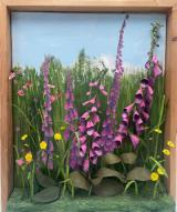 Hedgerow, East Prawl, Walking through the Village